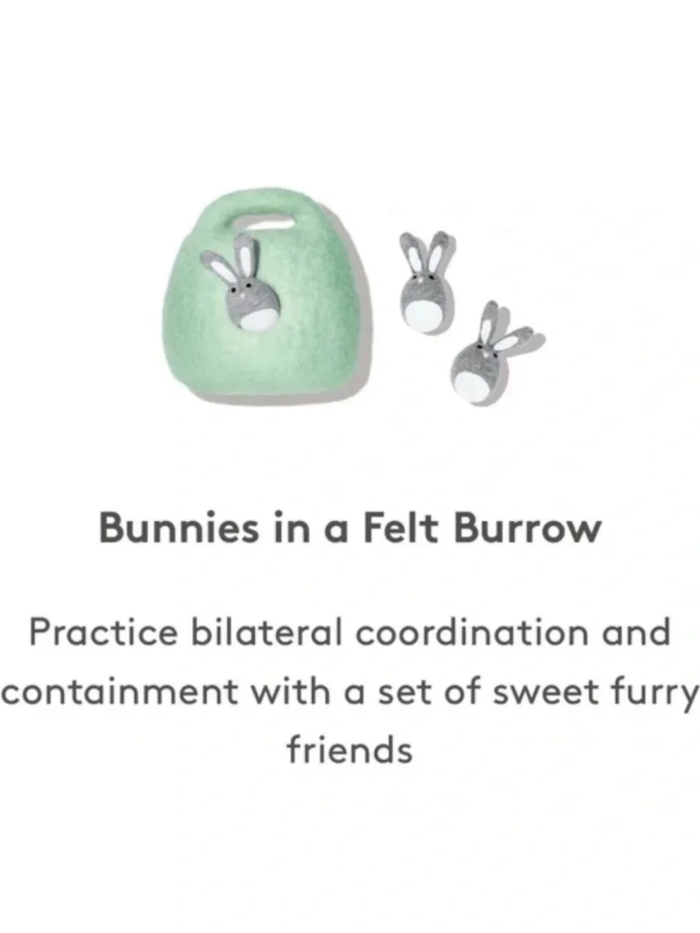 Bunnies in a Felt Burrow lovevery